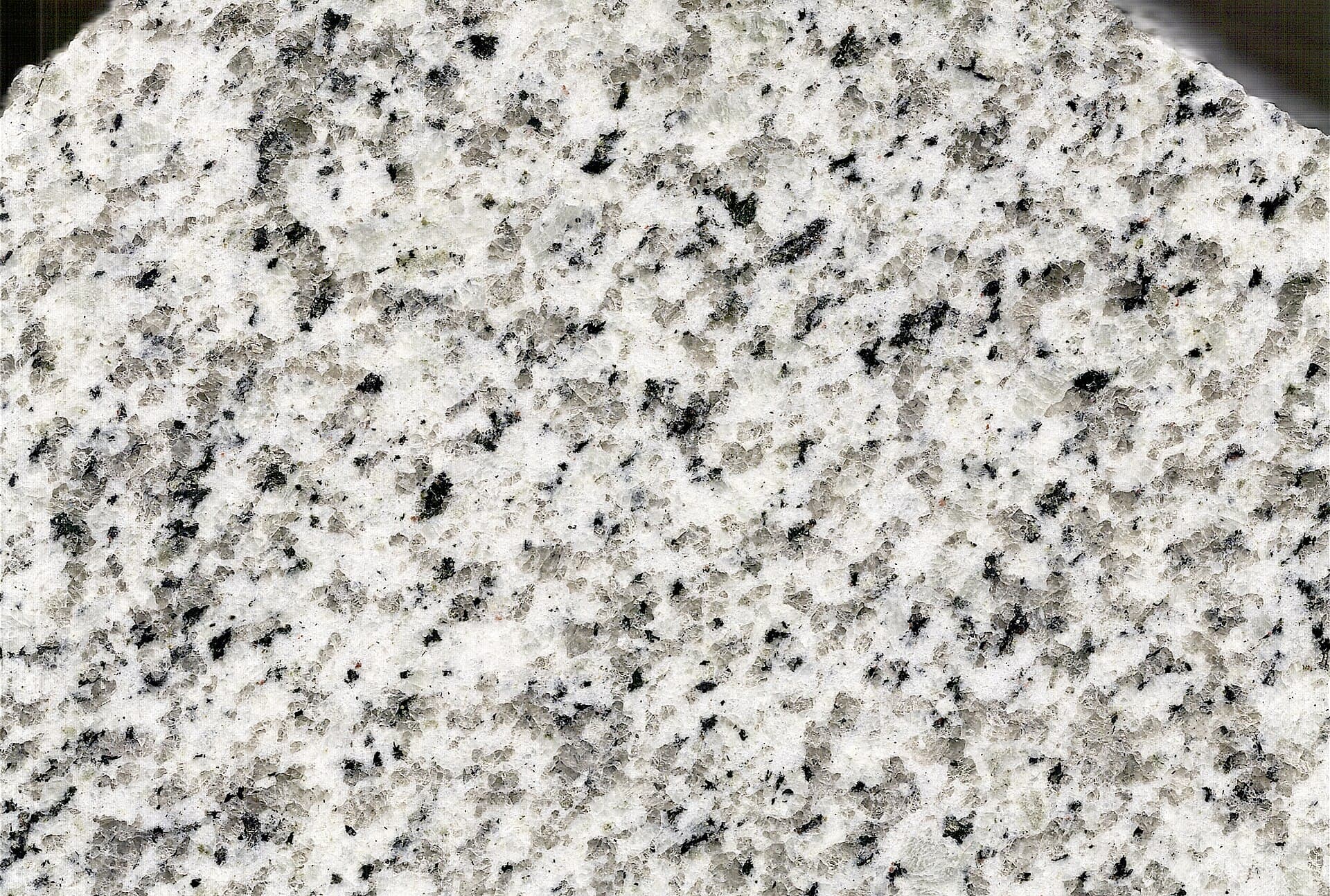 Calacatta Macaubas Quartzite