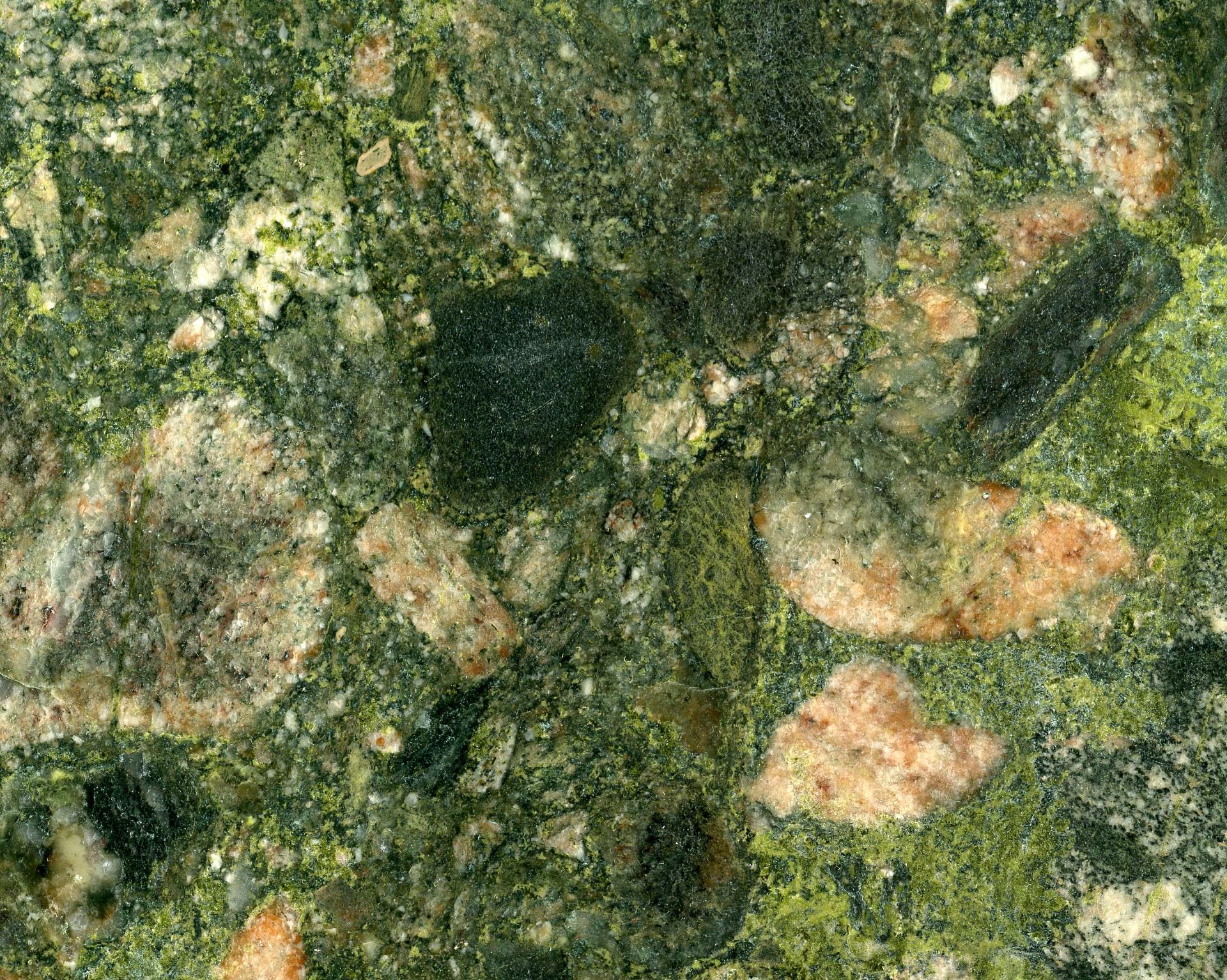 Verde Butterfly
