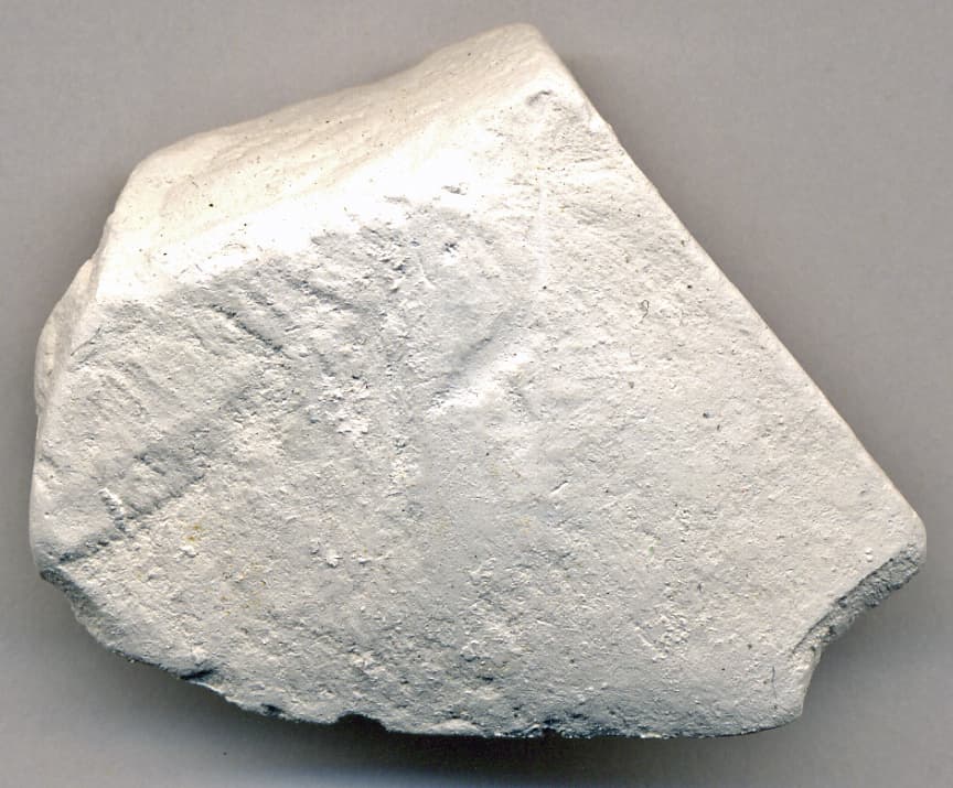 Bianco Perlino