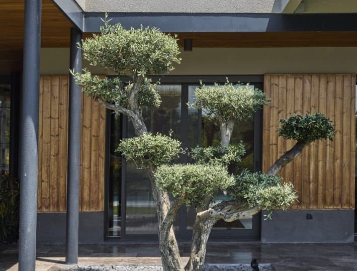 N House by Ofisvesaire