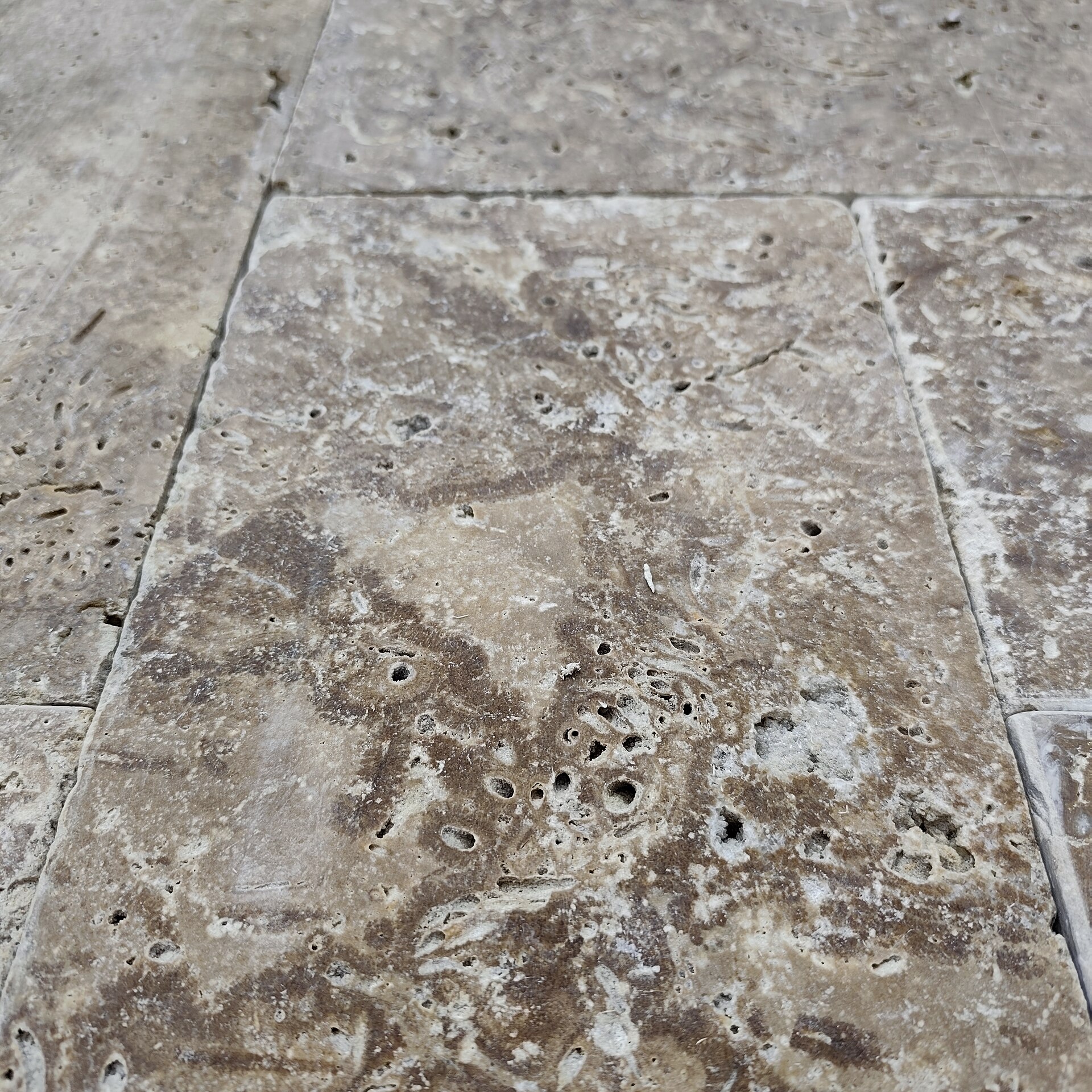 Travertine Noce Crosscut
